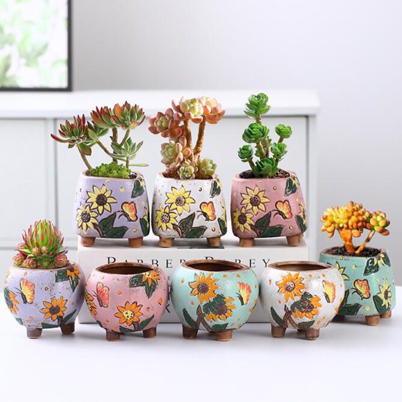 Echeveria Succulent - 한국 스타일 해바라기 패턴 다육 식물