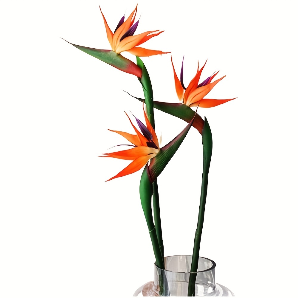 Bird Paradise Strelitzia - 3Pcs 인공 천국 새 꽃, 낙원의