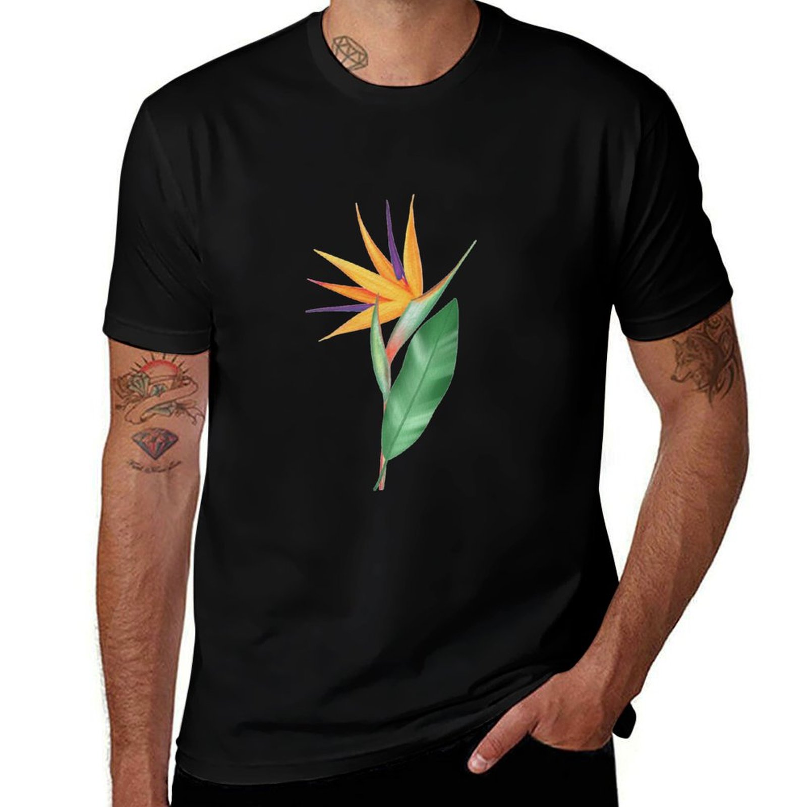 Bird Paradise Strelitzia - 수채화 낙원의 새꽃 또는 스트렐리치아 레지네이