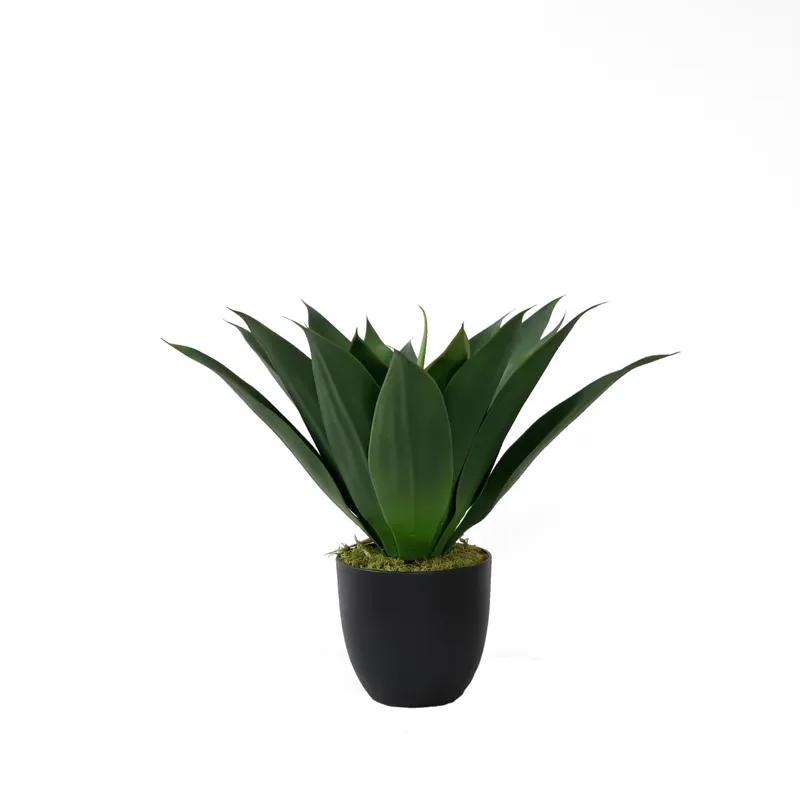 Aloe Vera Pot - 인공 알로에 베라 화분 분재 (콘다