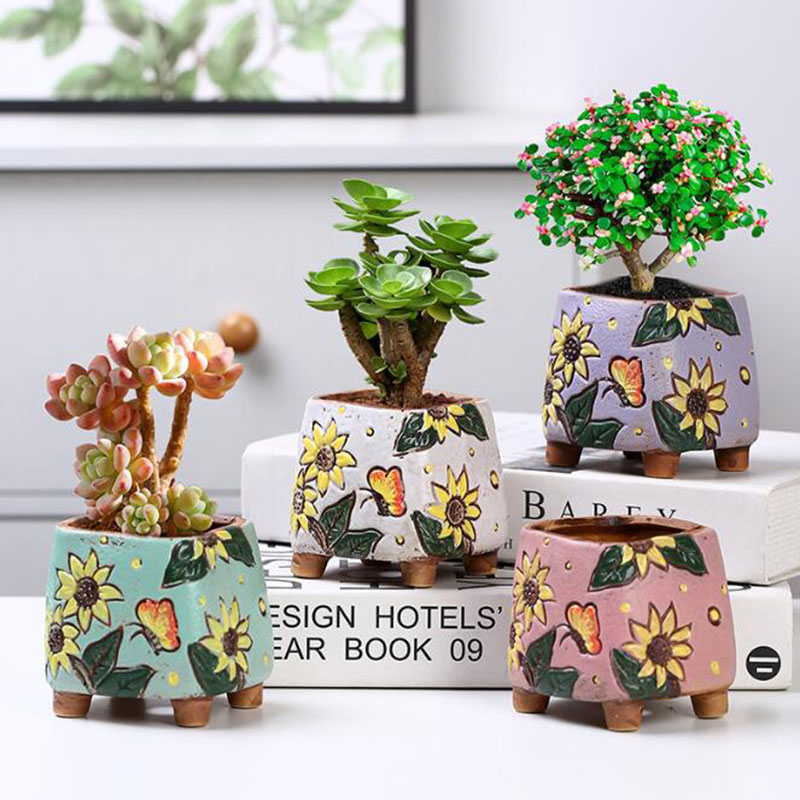한국 스타일 해바라기 패턴 다육 식물 냄비 구멍이있는  - Echeveria Succulent 리뷰 및 가격