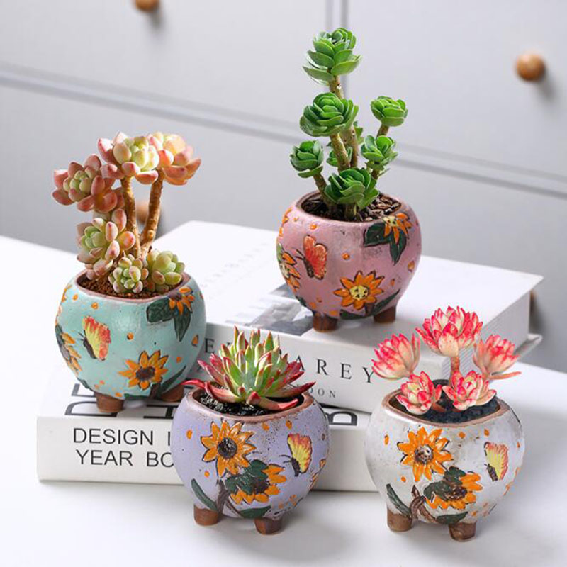 한국 스타일 해바라기 패턴 다육 식물 냄비 구멍이있는  - Echeveria Succulent 리뷰 및 가격