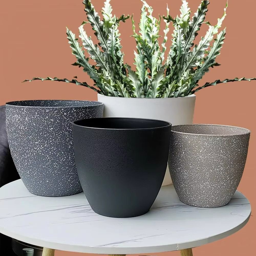서리로 덥은 모조 돌 분재 화분 발코니 식물 냄비 홈  - Aloe Vera Pot 리뷰 및 가격