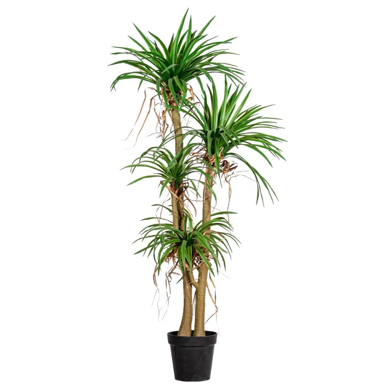 실내/실외 가정용 나무 모형 드라카나 마르기나타 인조  - Dracaena Marginata 리뷰 및 가격