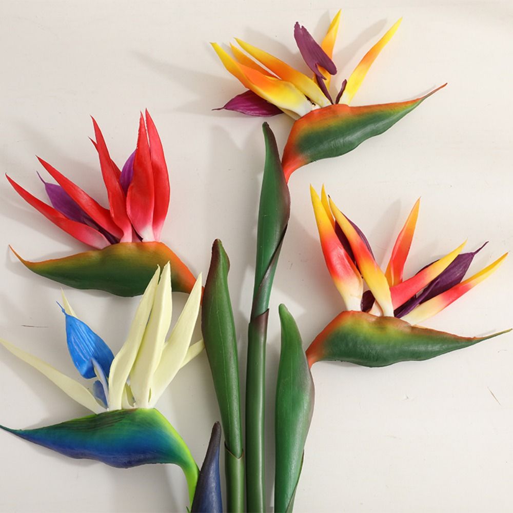 새로운 롱 스템 인조 버드 오브 파라다이스 장식용 정통 - Bird Paradise Strelitzia 리뷰 및 가격
