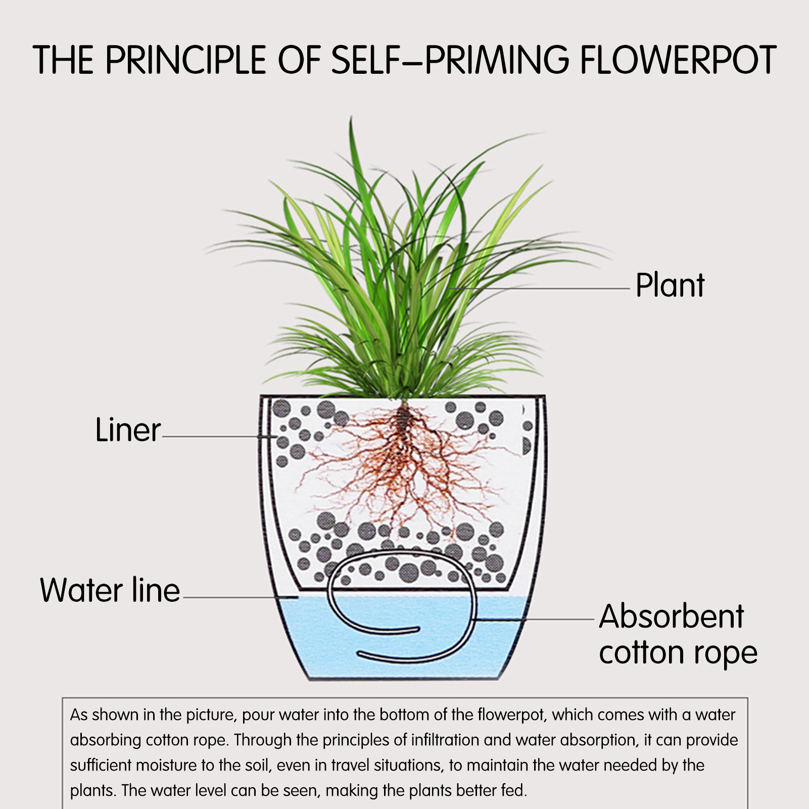 자동 급수 화분, 꽃 화분, 거실 장식 플라스틱 화분, - Aloe Vera Pot 리뷰 및 가격