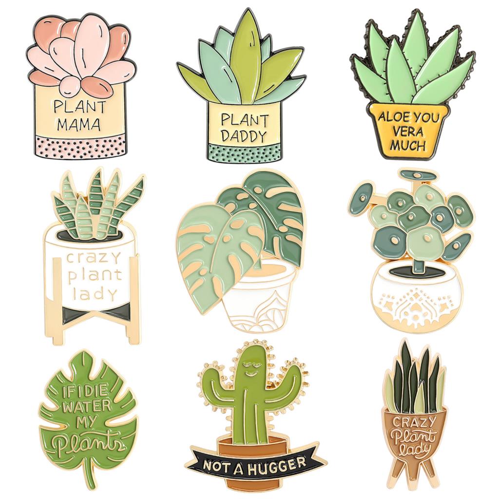 화분에 심은 식물 브로치 Monstera 알로에 베라  - Aloe Vera Pot 리뷰 및 가격