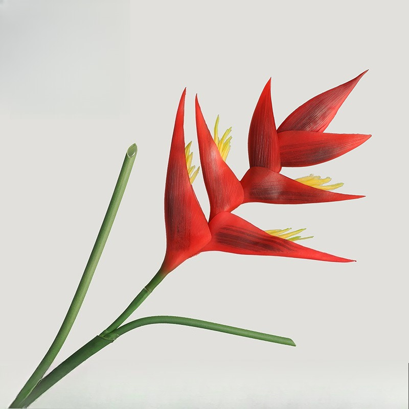 1PCS 85cm 인공 스트렐리치아 레지네 천국의 새  - Bird Paradise Strelitzia 리뷰 및 가격