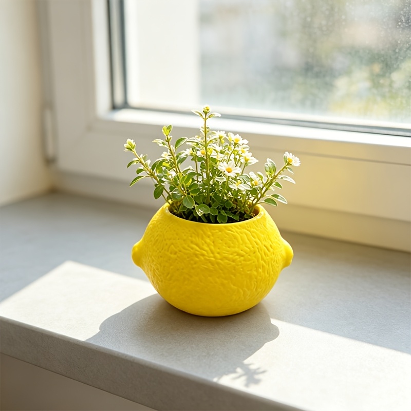 레몬 모양 장식 화분 다육 식물 선인장 미니 식물 데스 - Echeveria Succulent 리뷰 및 가격