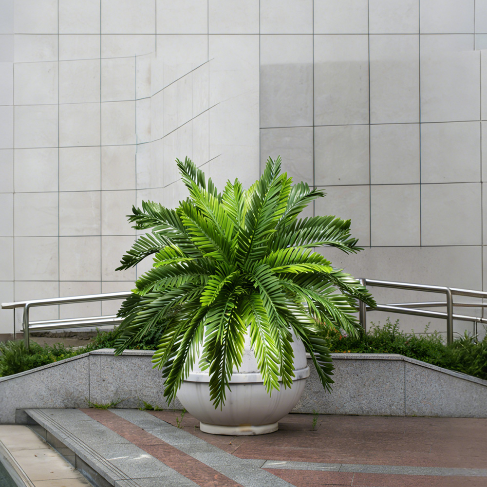 45cm 인조 야자수, 가짜 코코넛 나무, 열대 페르시 - Dracaena Marginata 리뷰 및 가격