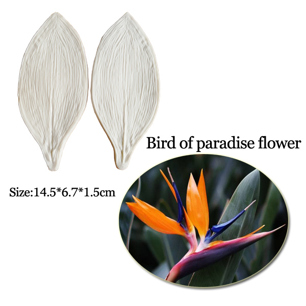 대형 Gumpaste Strelitzia 낙원 새 실리 - Bird Paradise Strelitzia 리뷰 및 가격