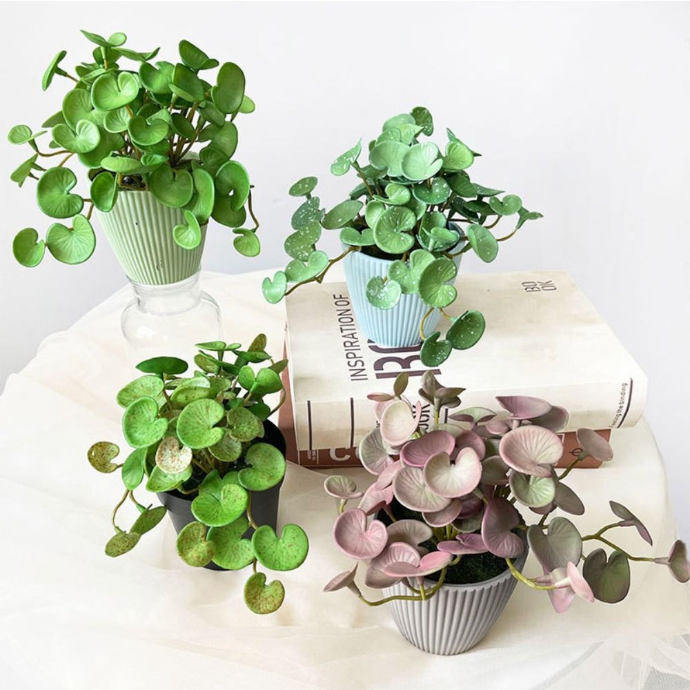부드러운 접착제 인조 식물 EVA 녹색 다육 식물, 나 - Echeveria Succulent 리뷰 및 가격