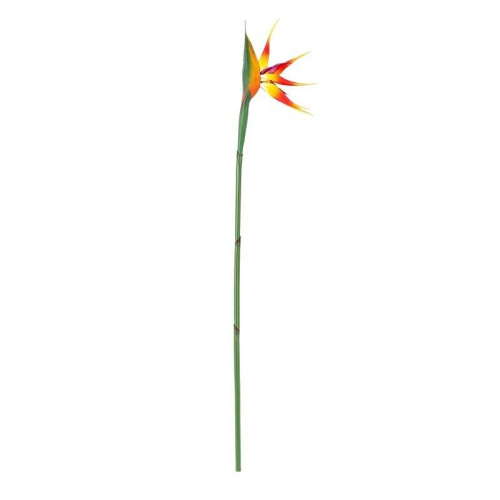 긴 줄기 인조 버드 오브 파라다이스 장식용 DIY 인조 - Bird Paradise Strelitzia 리뷰 및 가격