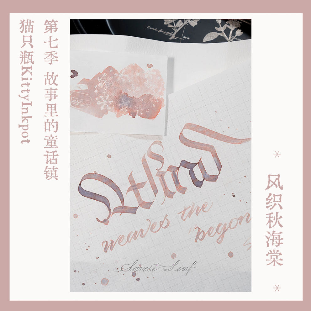 KittyInkpot 베고니아 렉스 컬러 5/35ml  - Begonia Rex 리뷰 및 가격