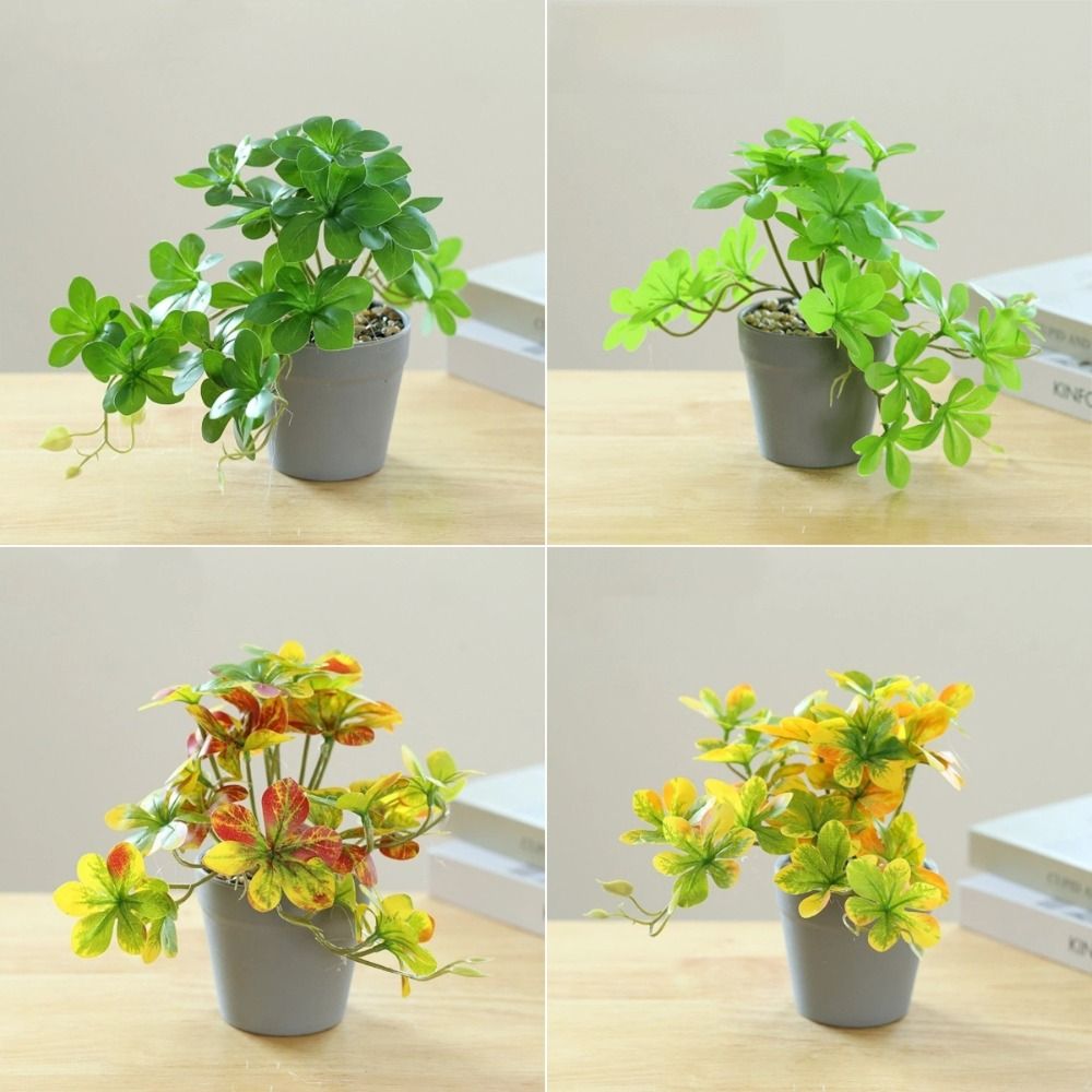 분재 인조분재 식물 가짜 식물 인공 거미 식물 화분에  - Spider Plant Hanging 리뷰 및 가격