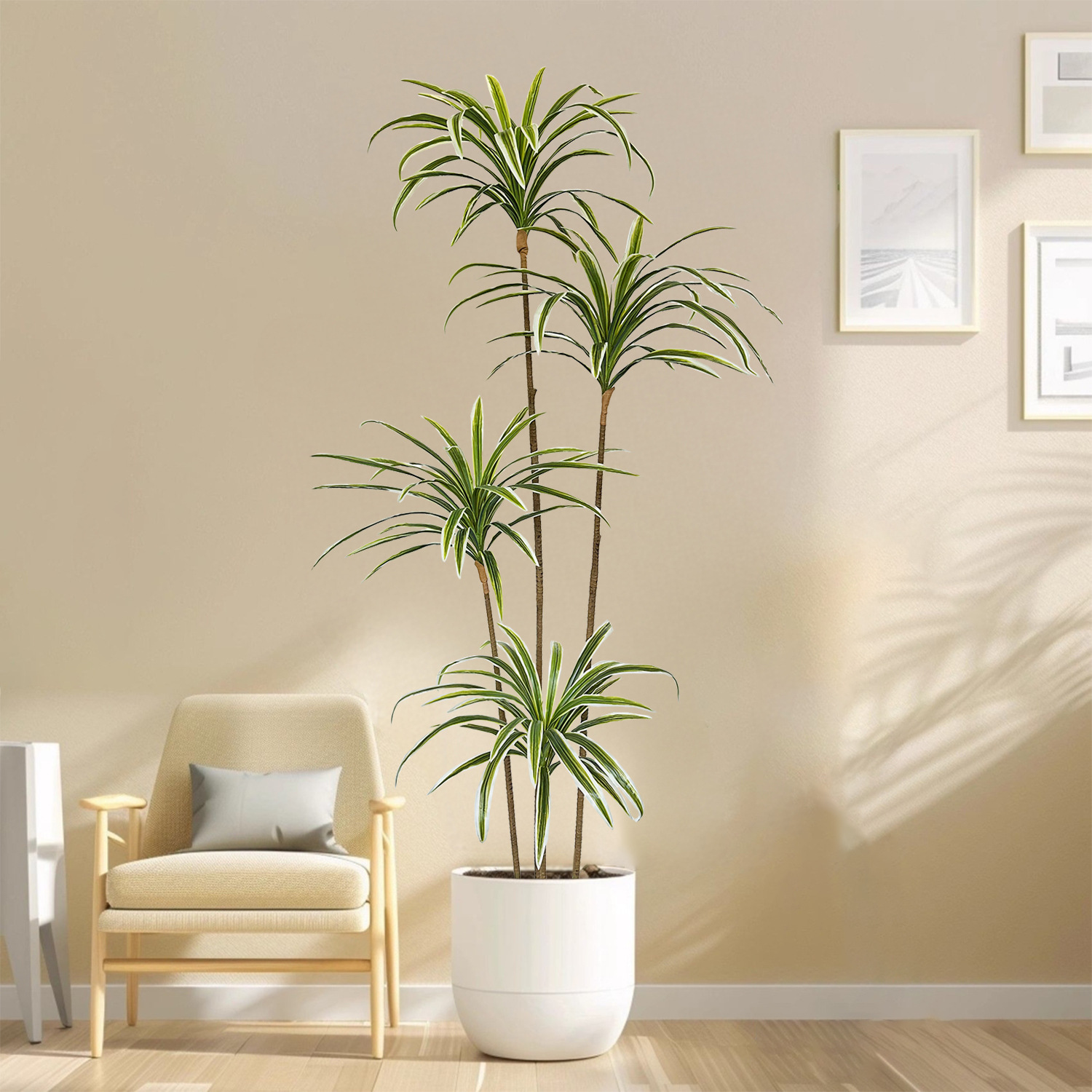 230cm 인조 드라세나 마르티나타 식물, 인조 백합  - Dracaena Marginata 리뷰 및 가격