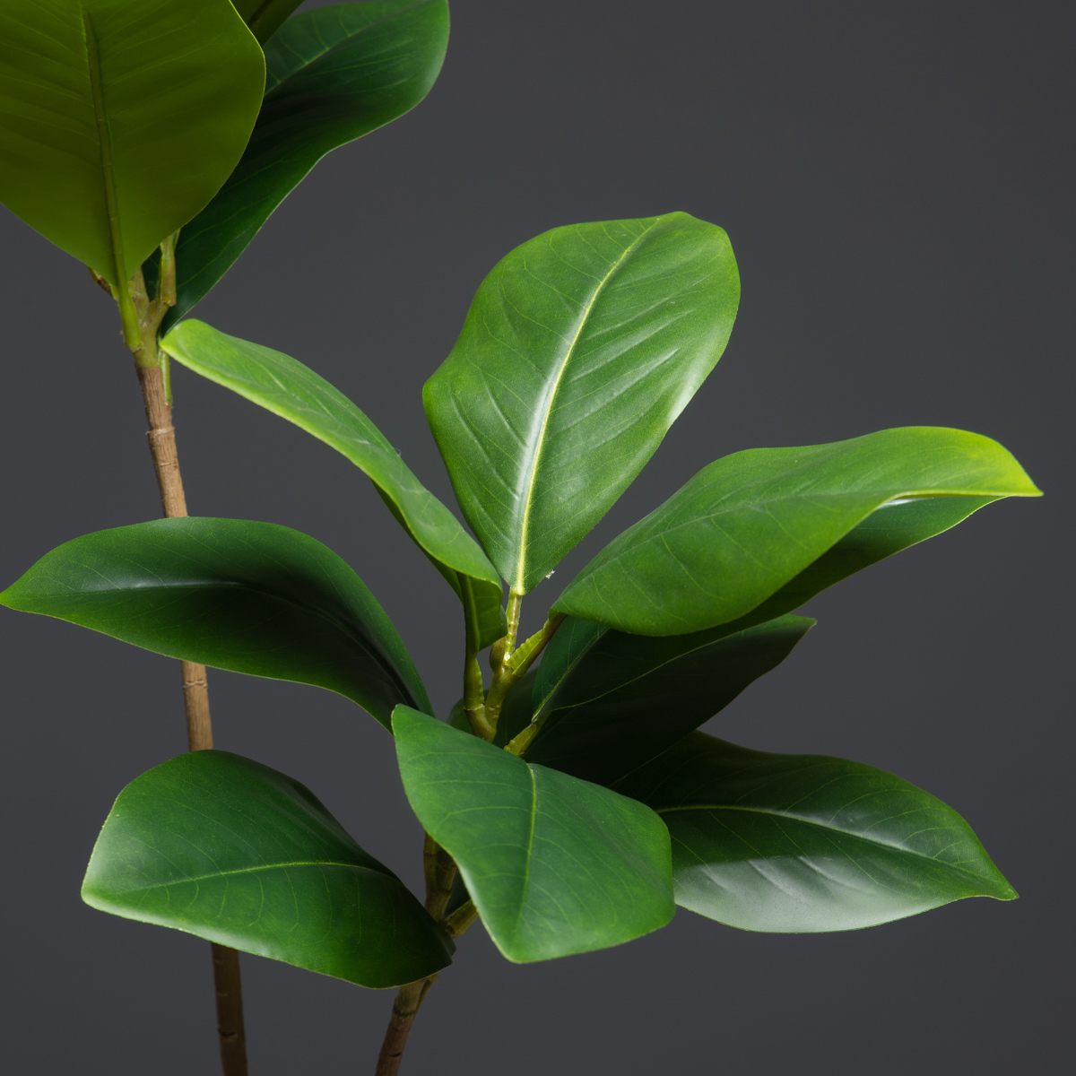 105cm 2 포크 대형 인공 식물 가짜 목련 나무 가 - Dracaena Marginata 리뷰 및 가격