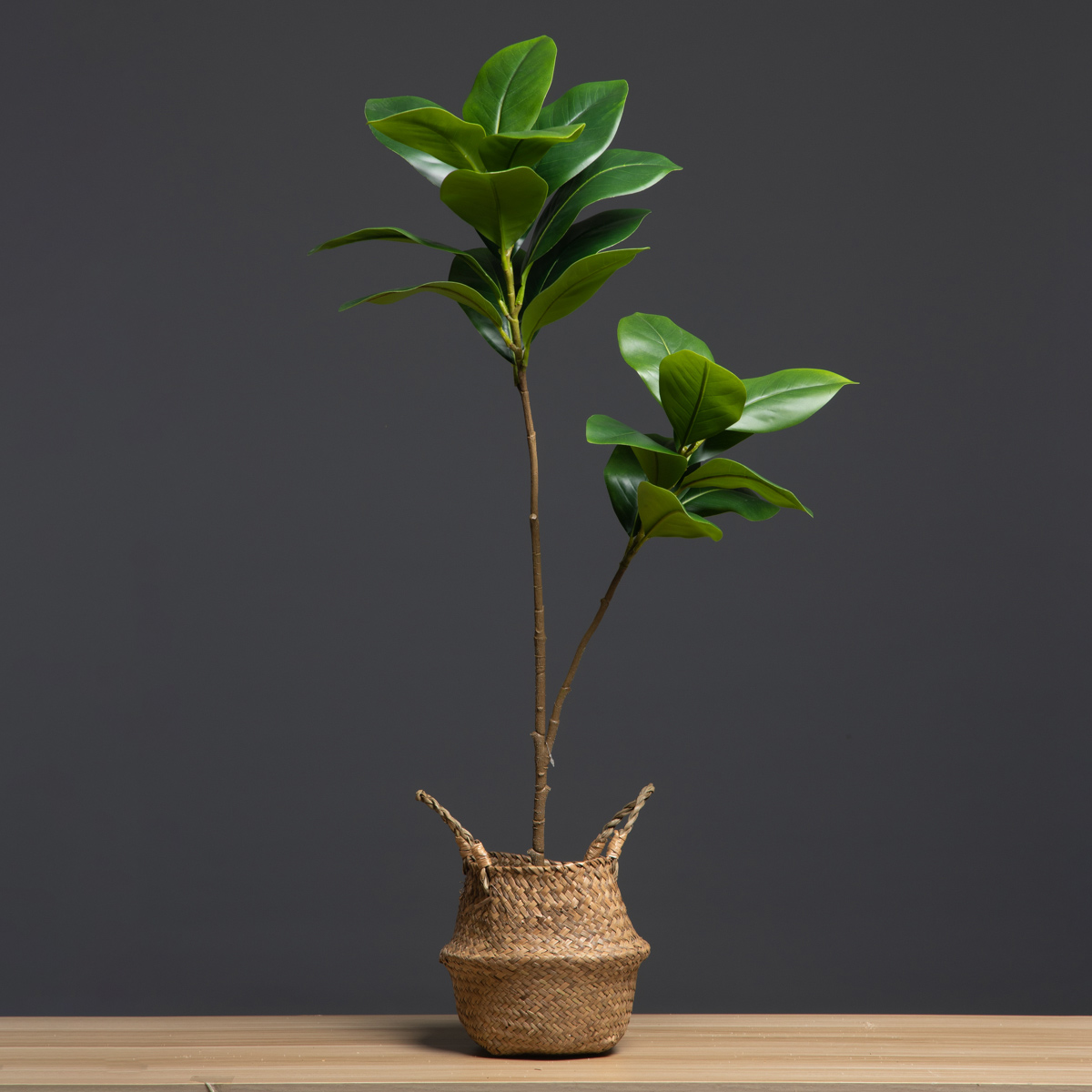 105cm 2 포크 대형 인공 식물 가짜 목련 나무 가 - Dracaena Marginata 리뷰 및 가격