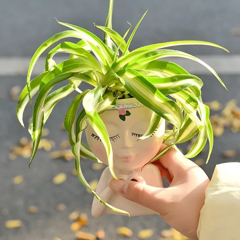 하트 모양의 소녀 레진 다육 식물 화분, 클로로피텀 녹 - Echeveria Succulent 리뷰 및 가격