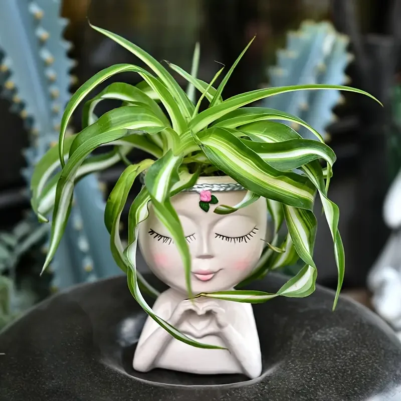 하트 모양의 소녀 레진 다육 식물 화분, 클로로피텀 녹 - Echeveria Succulent 리뷰 및 가격