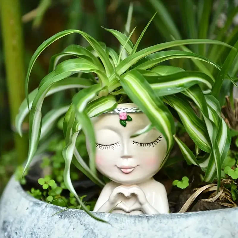 하트 모양의 소녀 레진 다육 식물 화분, 클로로피텀 녹 - Echeveria Succulent 리뷰 및 가격