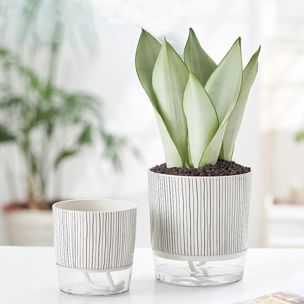 투명 자동급수 화분, 녹색 식물, 가정용 분재 장식,  - Aloe Vera Pot 리뷰 및 가격